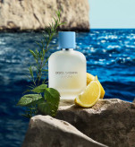 دولچه گابانا لایت بلو